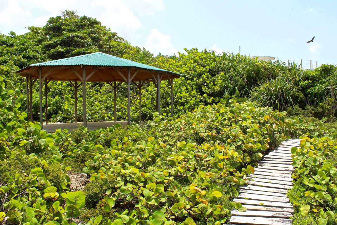 Great Huts Hotel Port Antonio Exterior photo