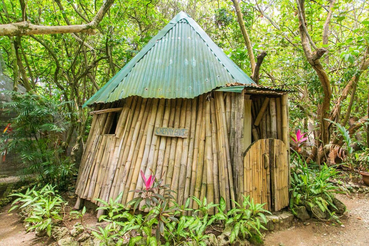 Great Huts Hotel Port Antonio Exterior photo